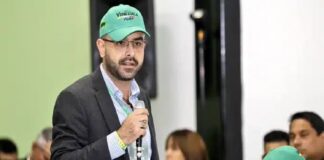 diputado copei