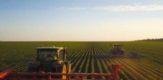 fedeagro