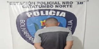 hurtó cartera
