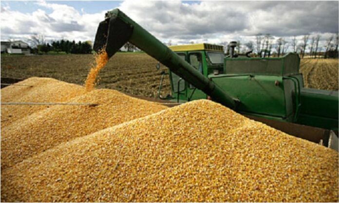 sector agroindustrial Venezuela