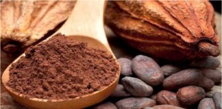 producción cacao Sucre
