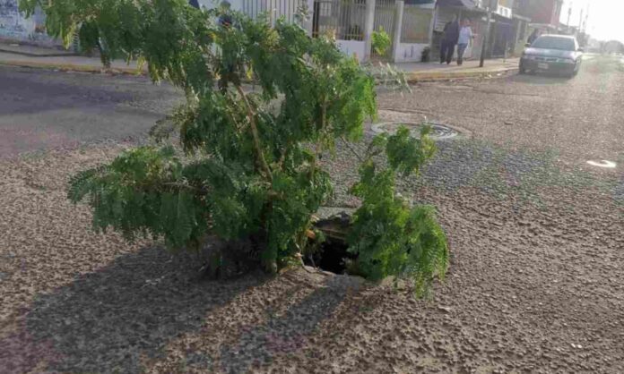 Alcantarillas Maracaibo Alcantarillas Maracaibo
