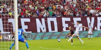 vinotinto