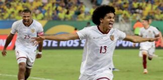 vinotinto