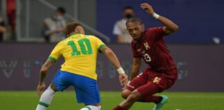 vinotinto
