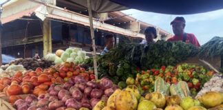 canasta alimentaria