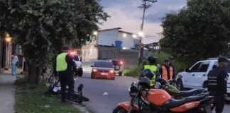 el vigía