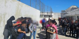 migrantes