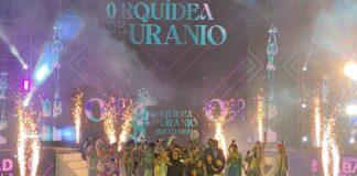 festival de la orquidea