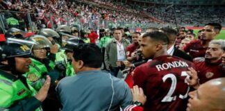 vinotinto