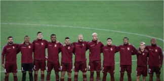 vinotinto