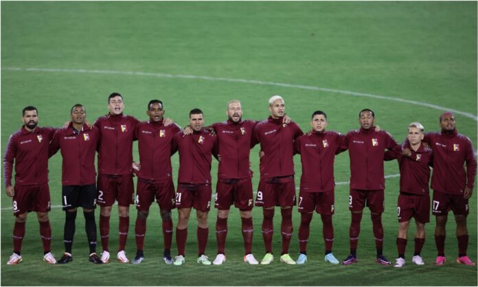 vinotinto