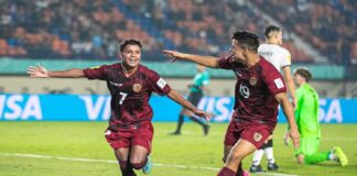 vinotinto