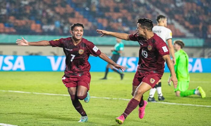 vinotinto vinotinto