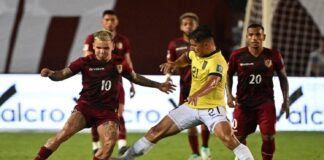 vinotinto