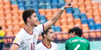 vinotinto