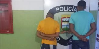 Falcón
