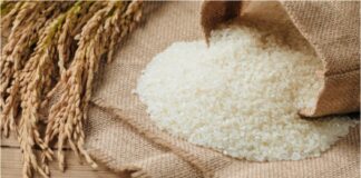 arroz portuguesa