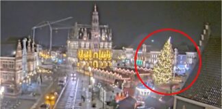 bélgica