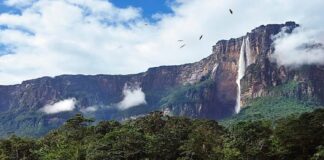 canaima