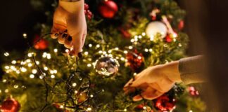 navidad