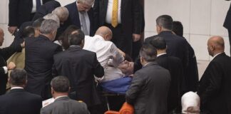 parlamentario turco