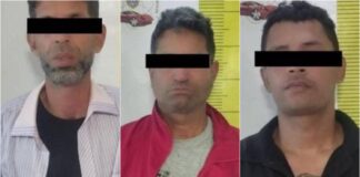 robo Conviasa