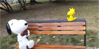 Snoopy Baruta
