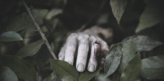 asesinato La Guaira