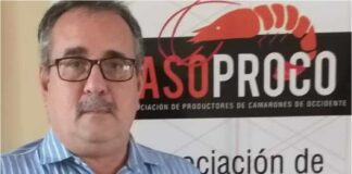 camarón exportaciones