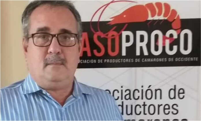 camarón exportaciones camarón exportaciones