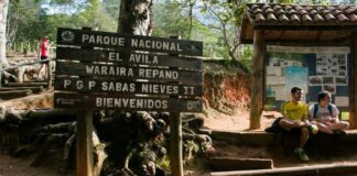 parque el ávila