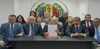 acción democrática