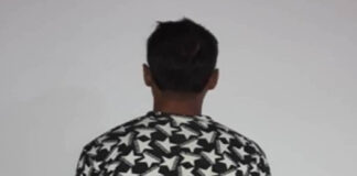 falcón