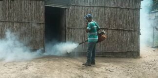dengue