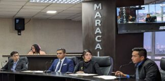parlamento universitario