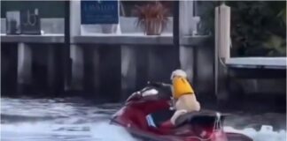 Florida