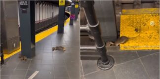 Nueva York