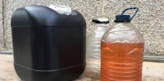 gasolina