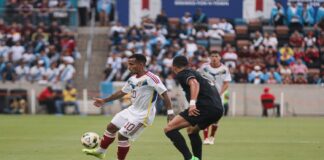 vinotinto