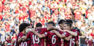 vinotinto