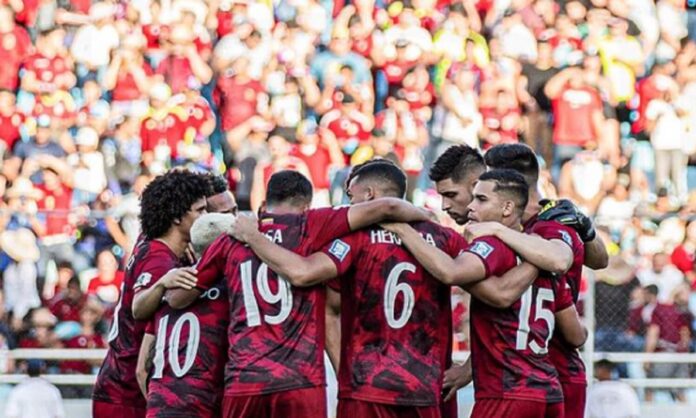 vinotinto vinotinto