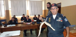 Luis Contreras