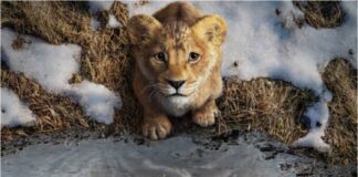 mufasa