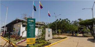 Patria Joven Maracaibo
