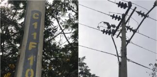 Zapara Maracaibo