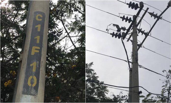 Zapara Maracaibo