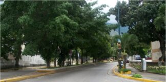 animales caracas
