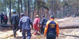 incendios forestales carabobo