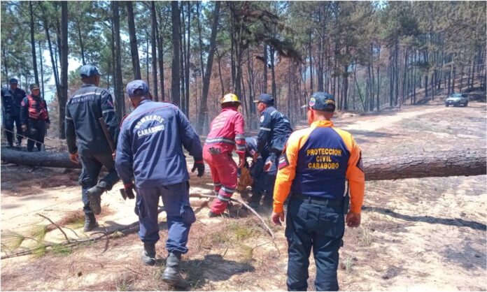incendios forestales carabobo incendios forestales carabobo